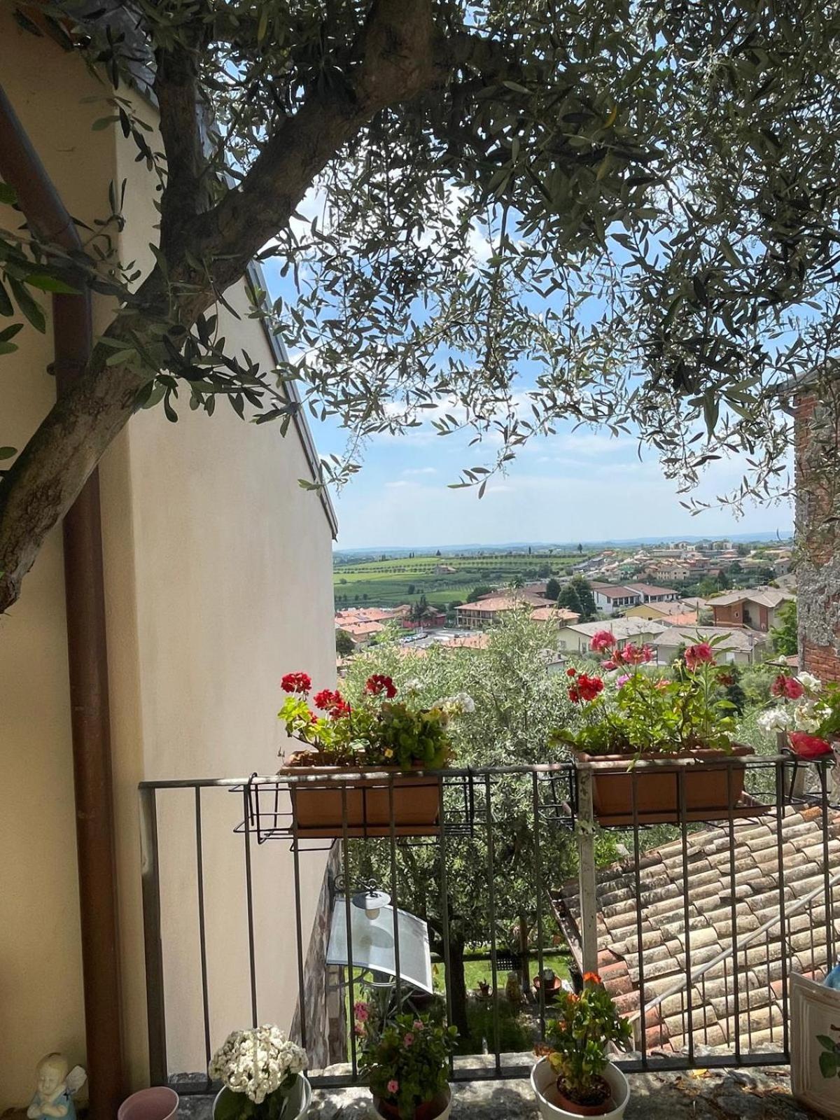 Garden Room Cavaion Veronese Εξωτερικό φωτογραφία
